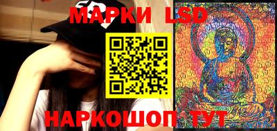 Альфа ПВП Моздок