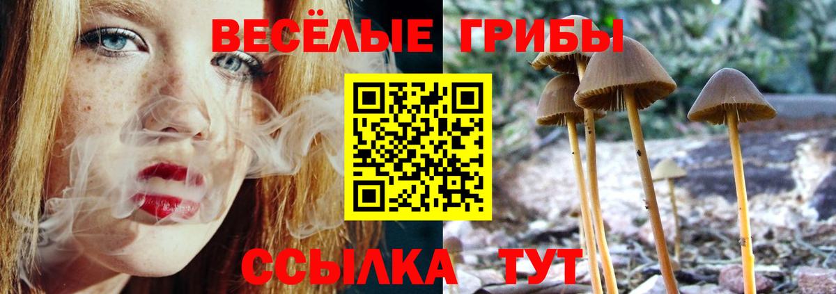 наркота  Псилоцибиновые грибы Cubensis  Вход с VPN  Домодедово 
